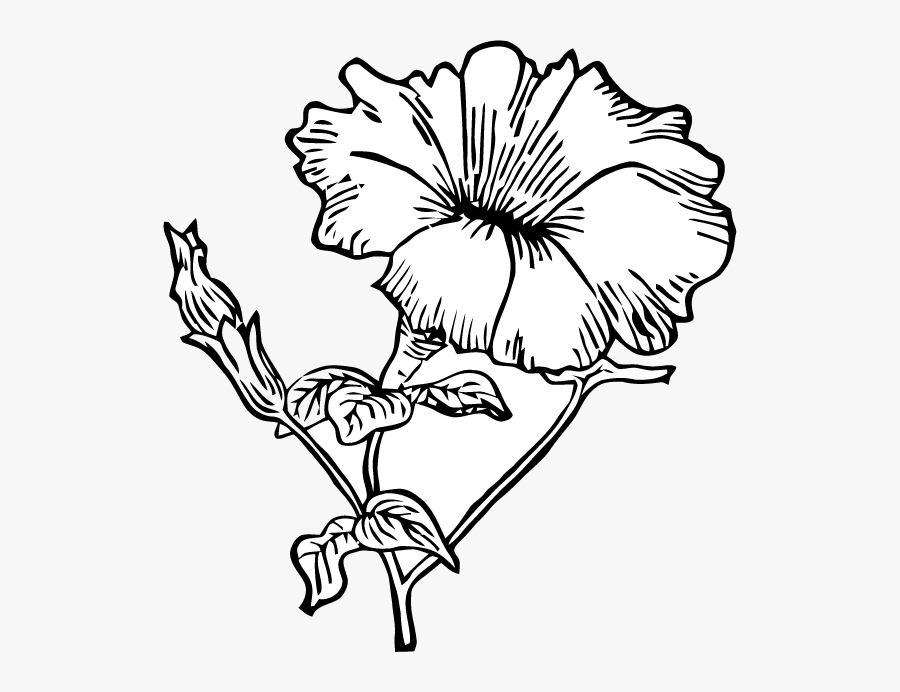 Transparent Free Lavender Clipart, Transparent Clipart