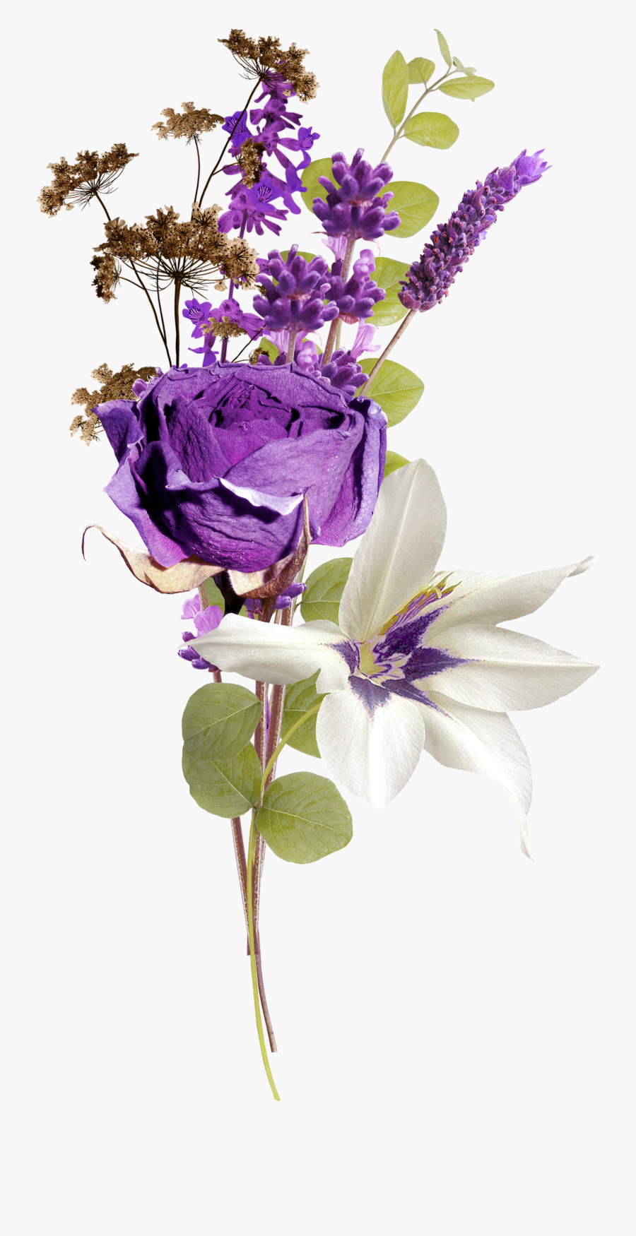 Lavender Clipart Stem - Тату Лаванда На Прозрачном Фоне, Transparent Clipart