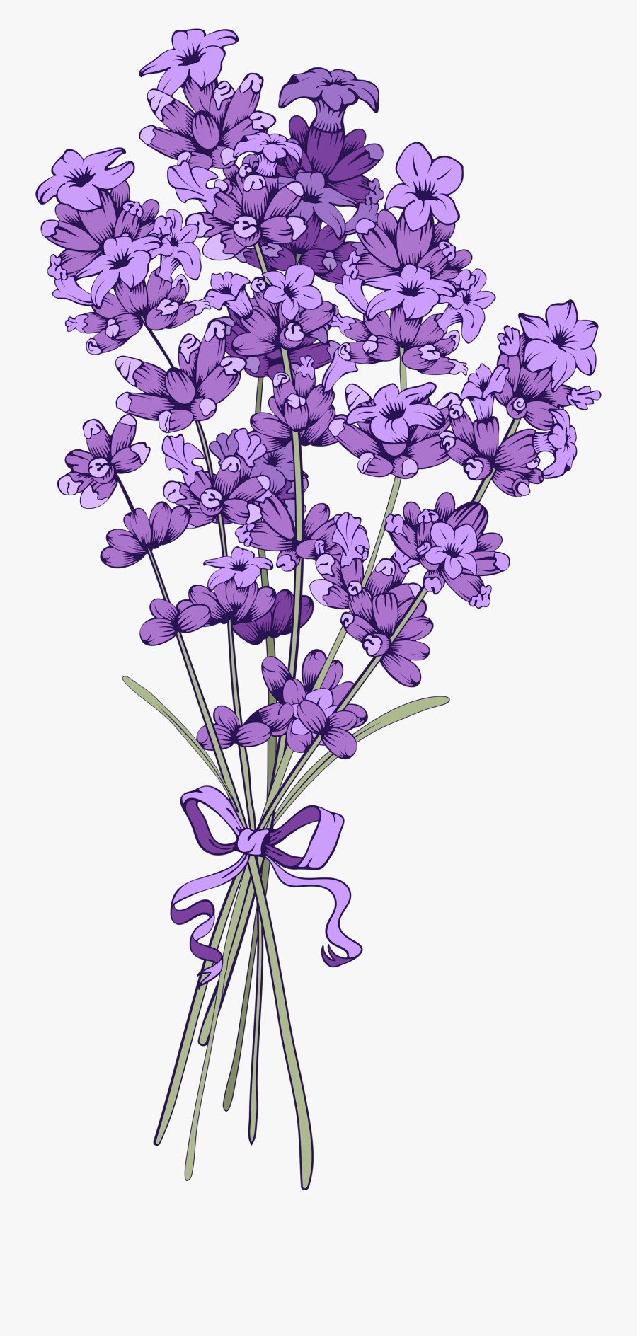 Banner Free Library Floral Vintage Background With - Lavender Flower Vector Png, Transparent Clipart