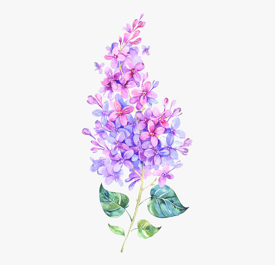 Delphinium Drawing Lavender Transparent Png Clipart - Peony And Lilac Tattoo, Transparent Clipart