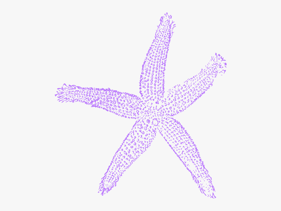 Lavender Clipart Starfish - Coral Starfish Clipart, Transparent Clipart