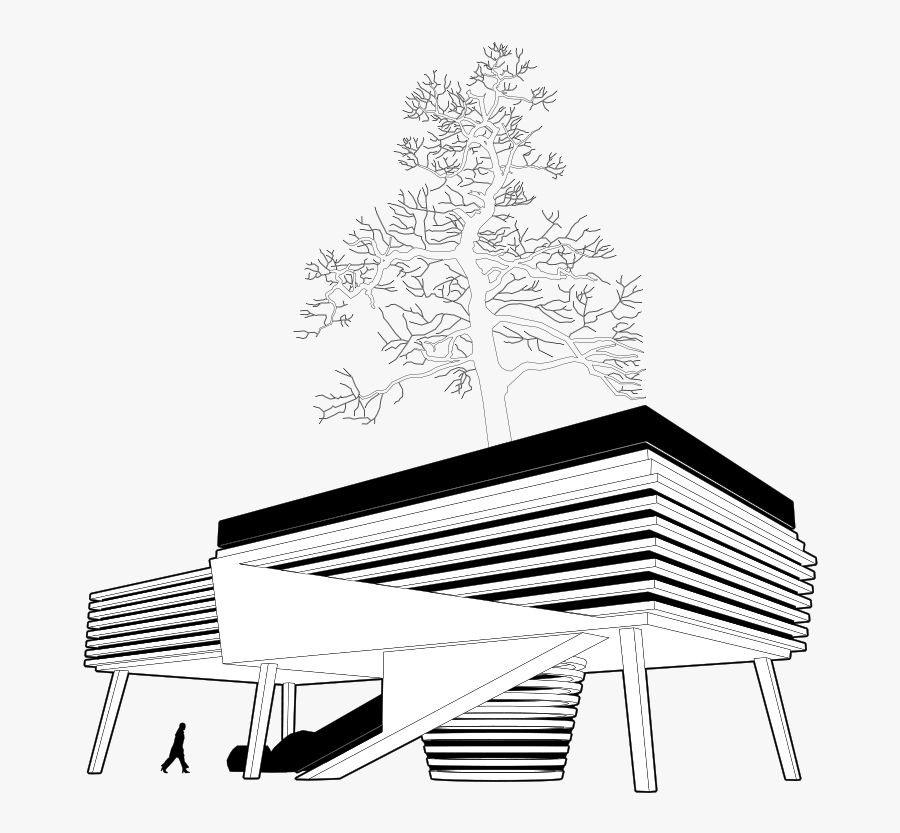 Angle,monochrome Photography,tree - Contemporary Architecture Clipart, Transparent Clipart