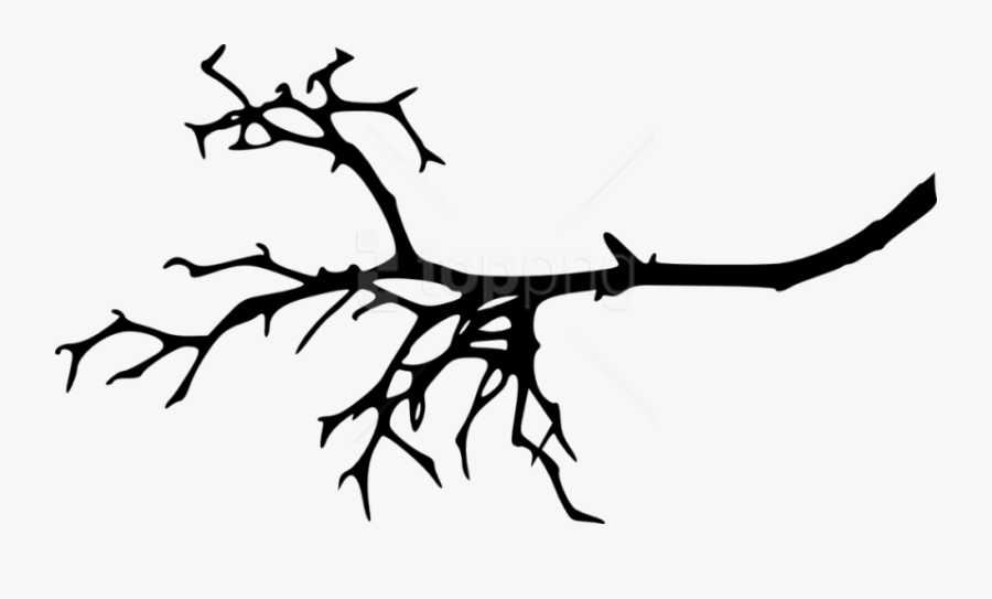 Transparent Tree Png Silhouette - Clipart Tree Branch Silhouette, Transparent Clipart