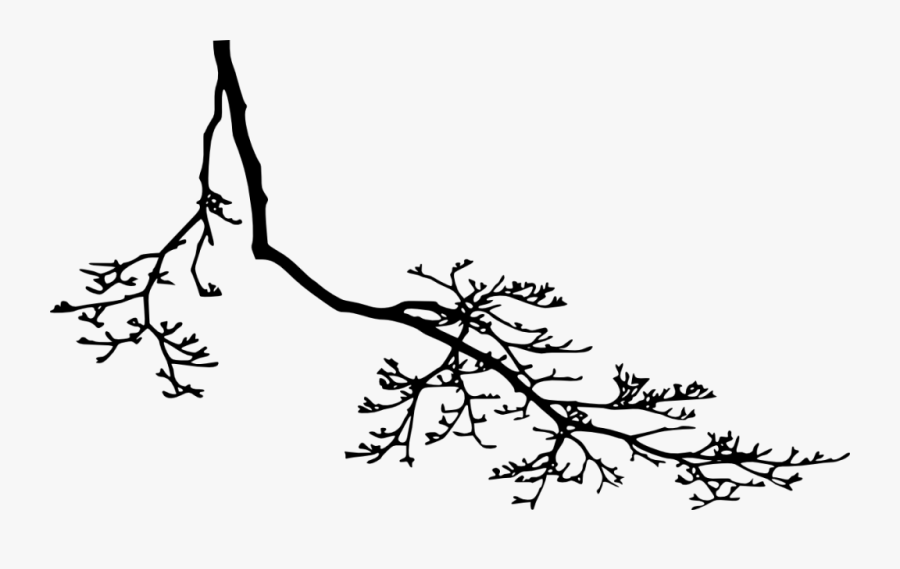 Tree Branches With Leaves Png - Tree Branch With Leaves Silhouette Png, Transparent Clipart