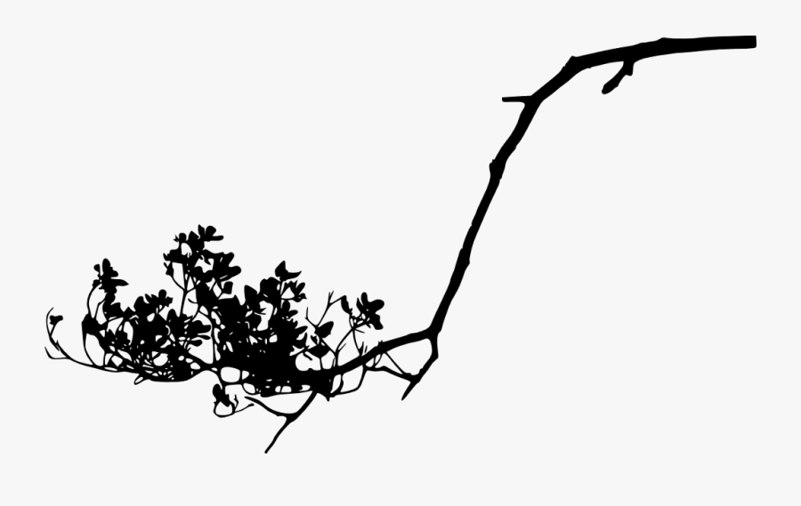 #freetoedit #tree #branch #silhouette #4trueartists - Flower Branch Silhouette Png, Transparent Clipart
