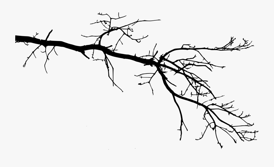 Branch Png - Free Download - Tree Branch Drawing Transparent, Transparent Clipart