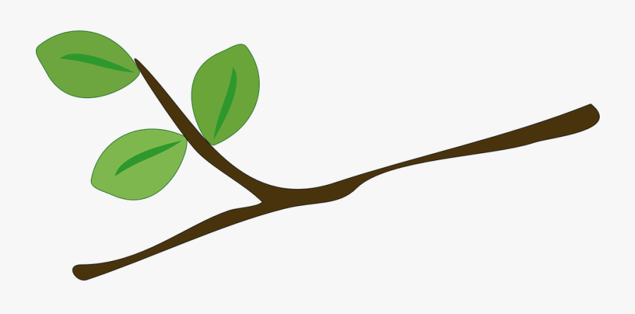 Rama De Arbol Png, Transparent Clipart