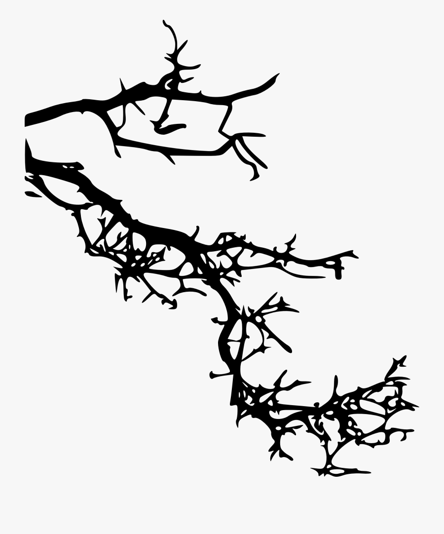 Cardinals Appear Angels Are Near Free Transparent Clipart Clipartkey
