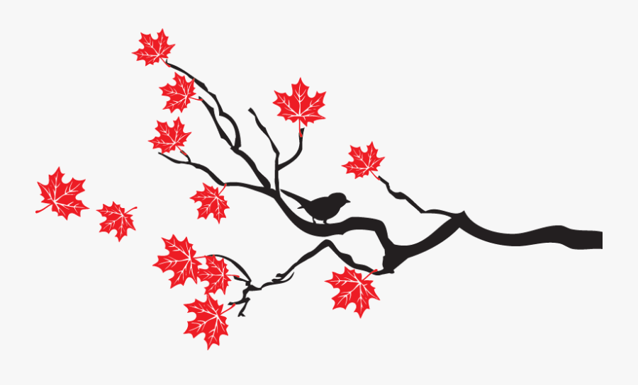 Maple Tree Branches And Leaves - Maple Tree Branch Silhouette, Transparent Clipart