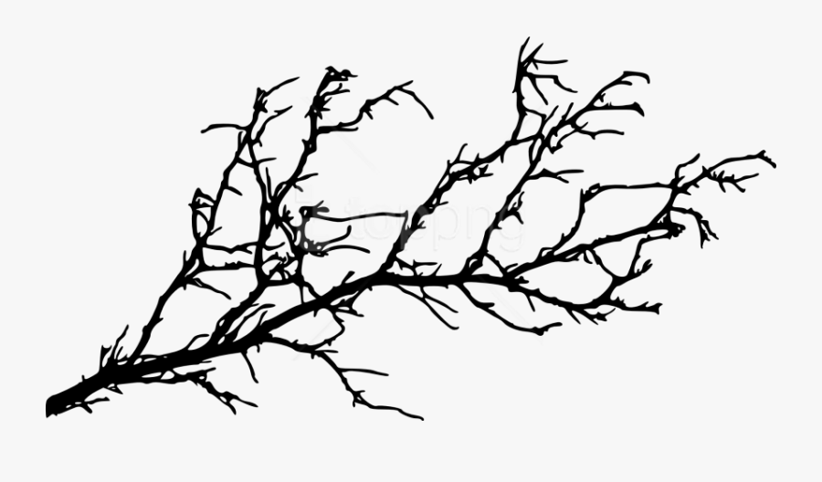 Fall Tree Branch Png - Tree Branch Silhouette Png, Transparent Clipart