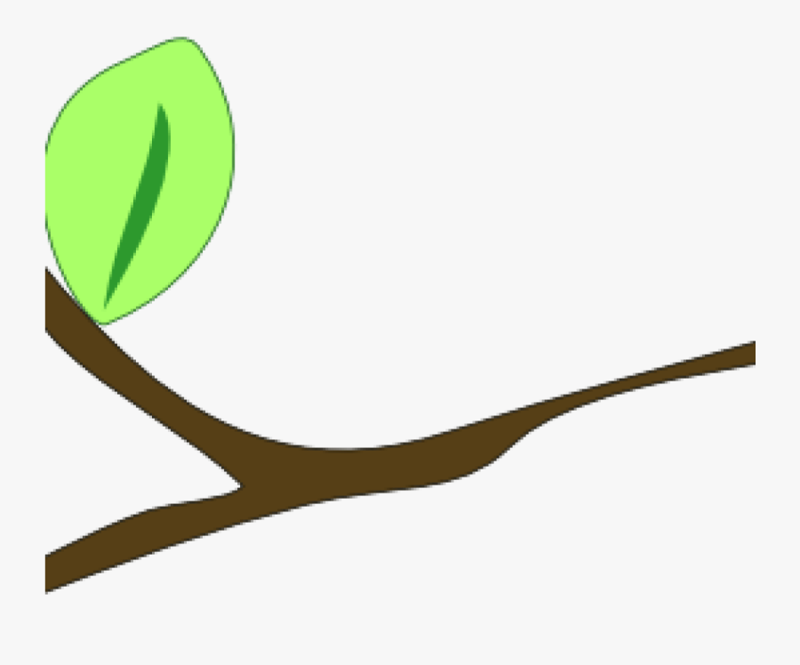 Transparent Tree Branch With Leaves Clipart, Transparent Clipart