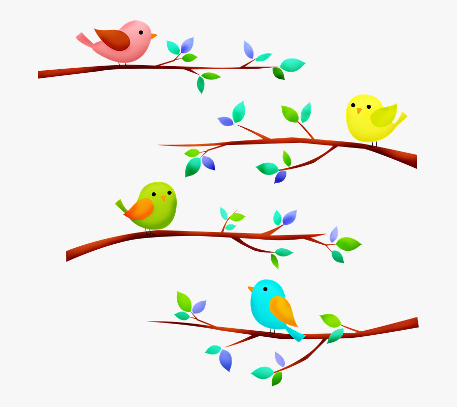 Birds On Tree Branch, Birds, Tree Branch, Animal - Vögel Auf Ast Clipart, Transparent Clipart