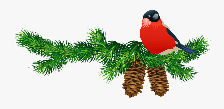 Christmas Tree Branch Png Download - Free Clipart Christmas Birds, Transparent Clipart
