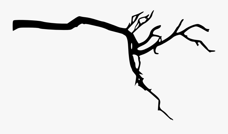 Banner Freeuse Library Branch Transparent Background - Tree Branches Transparent Background, Transparent Clipart