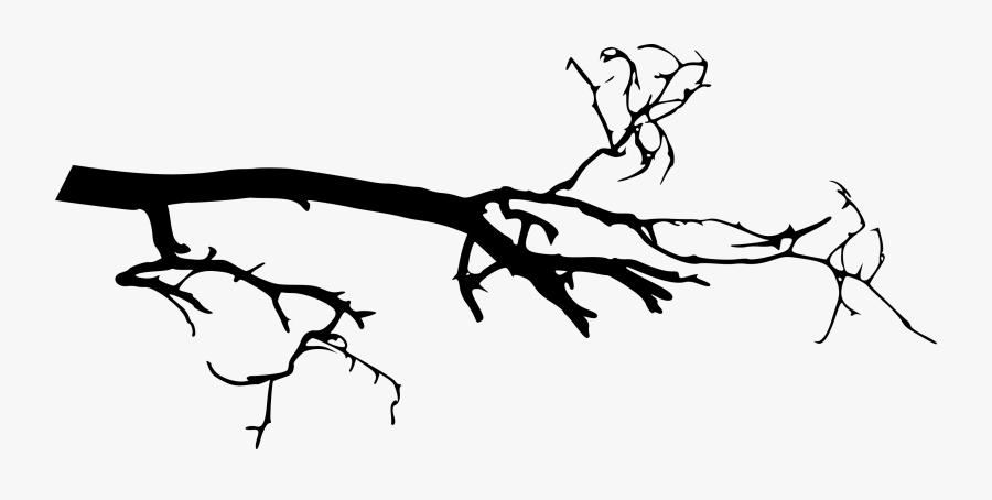 Tree Branch Png, Transparent Clipart