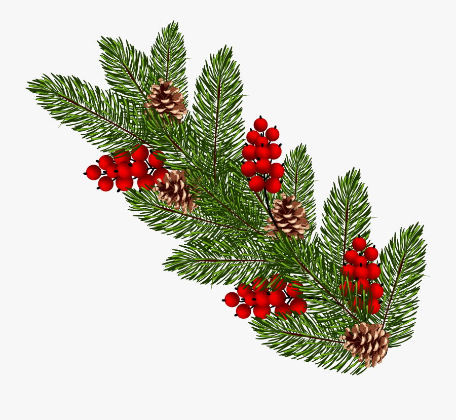 Christmas Tree Clipart Branches - Portable Network Graphics, Transparent Clipart