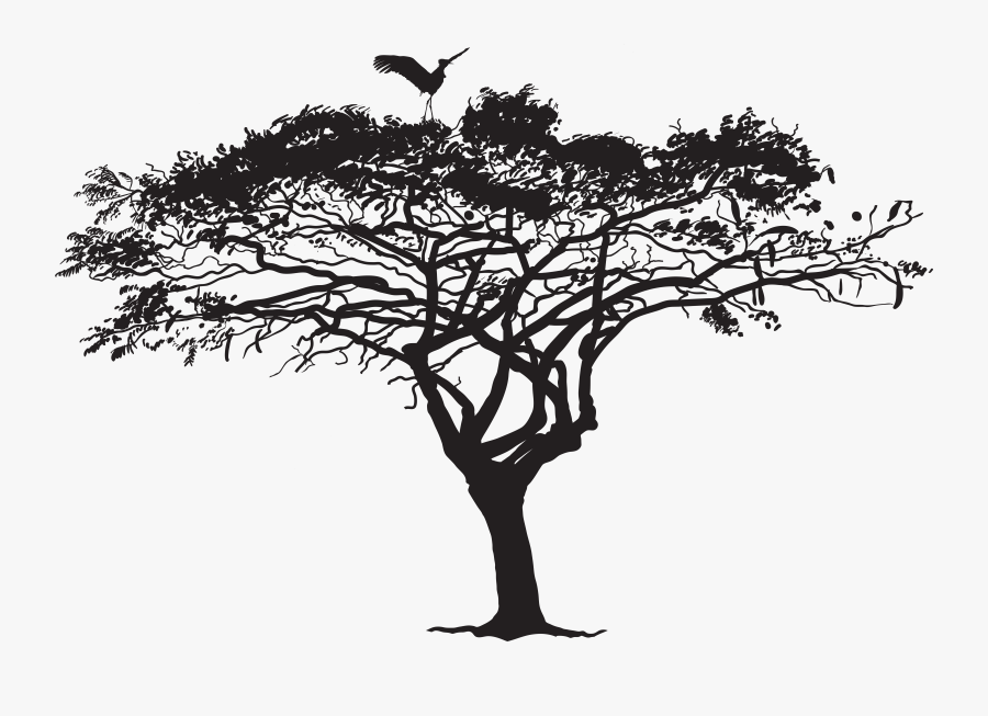 Exotic Tree And Bird Silhouette Png Clip Art Image - Wilkswood Reggae Festival 2019, Transparent Clipart