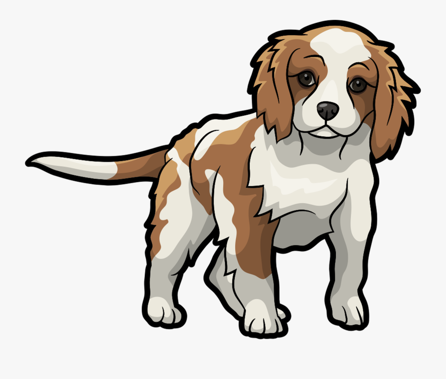 Cartoon Cavalier King Charles Spaniel Clipart , Png - Cavalier King Charles Spaniel Puppy Cartoon, Transparent Clipart