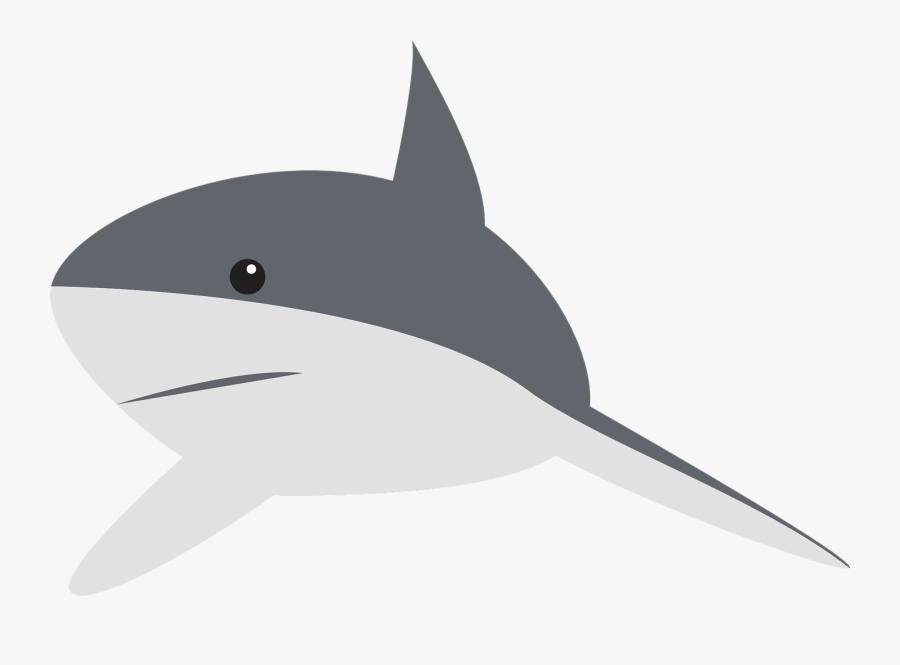 Transparent Perspective Clipart - Clipart Cartoon Shark, Transparent Clipart