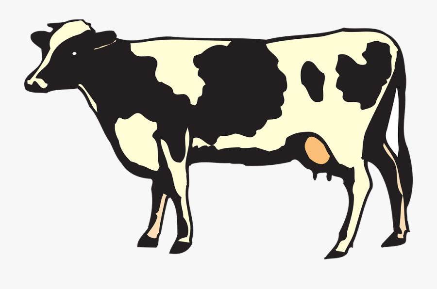 Transparent Ox Clipart - Dairy Cow, Transparent Clipart
