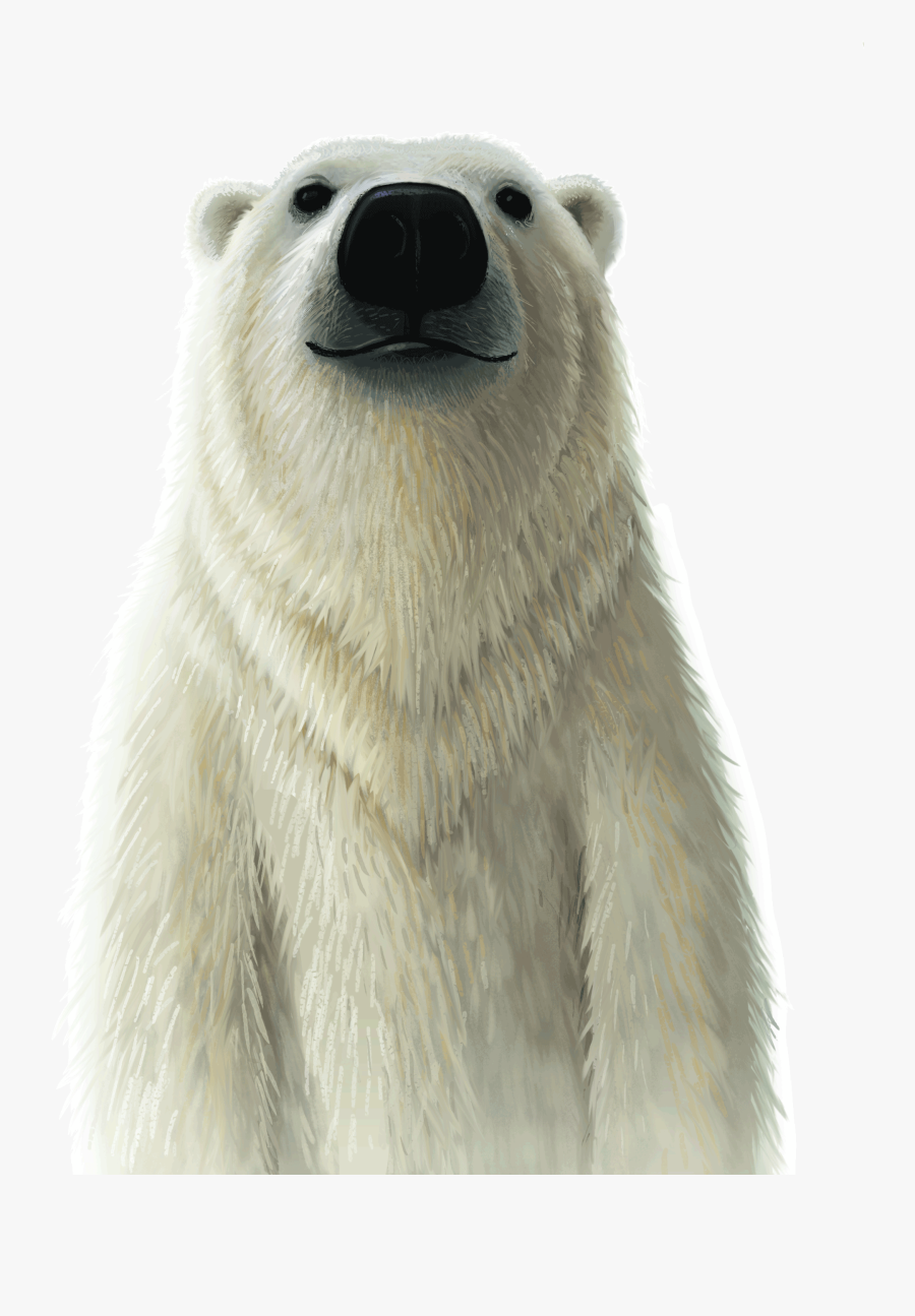 Image - Wild Vbs 2019 Animals, Transparent Clipart