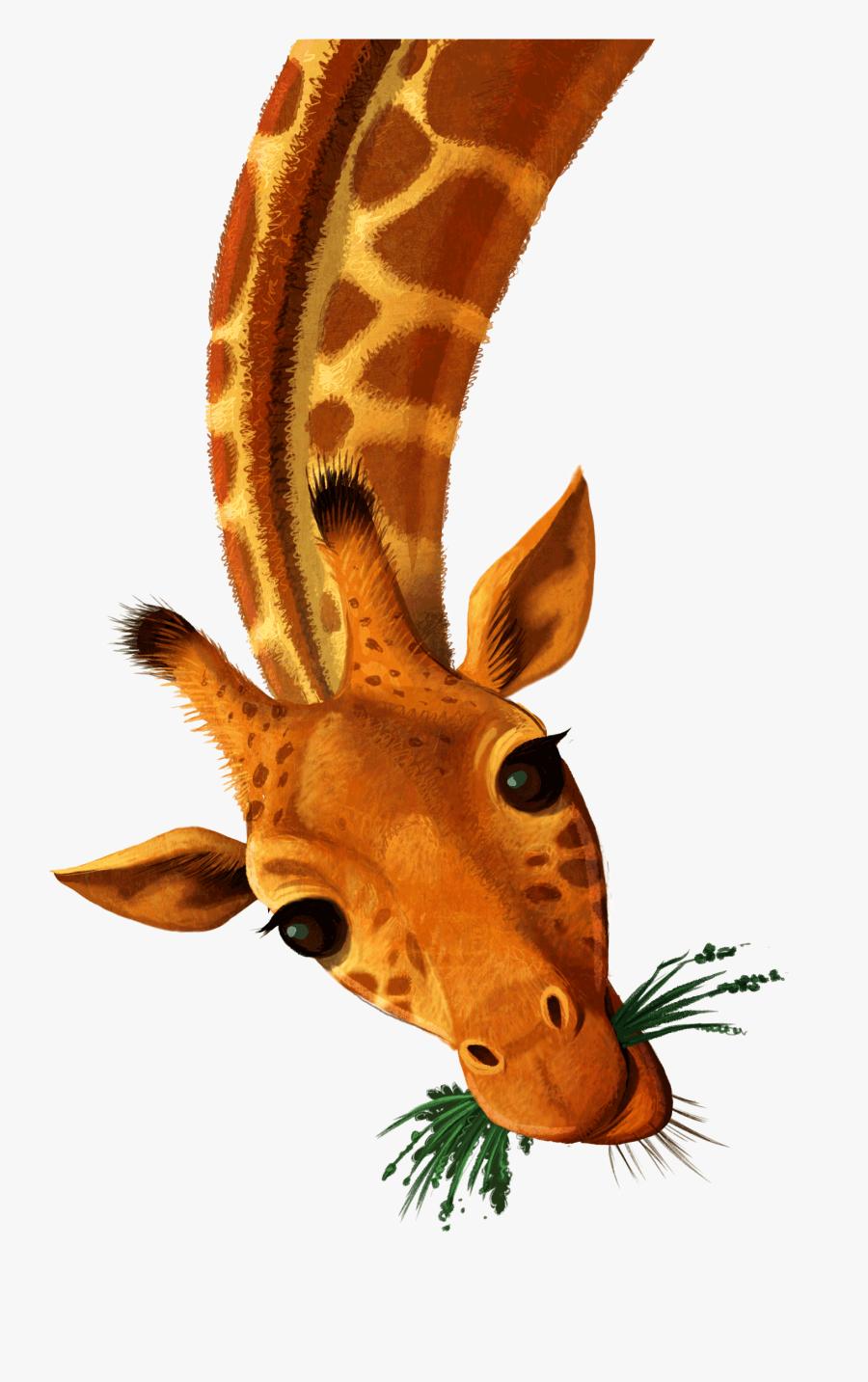 Image - Wild Vbs Giraffe Png, Transparent Clipart