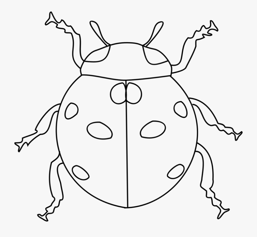 Art,symmetry,monochrome Photography - Ladybird Clipart Black And White, Transparent Clipart