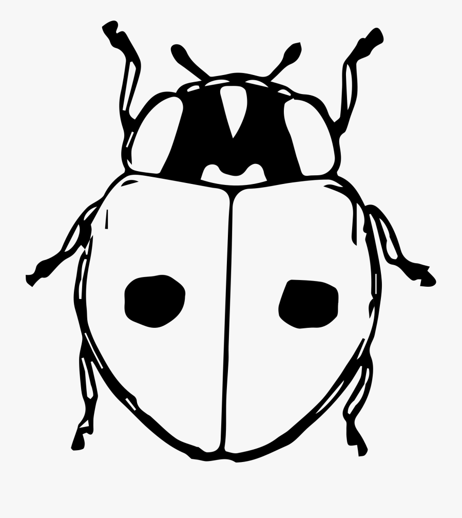 Transparent Ladybug Clipart Black And White - Gambar Kumbang Kartun Hitam Putih, Transparent Clipart