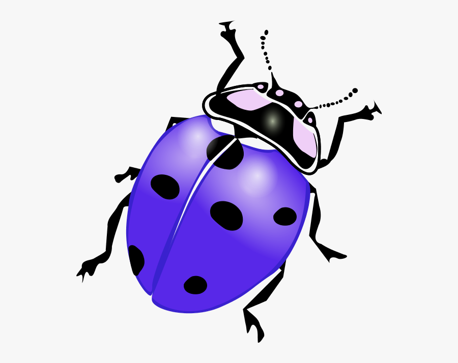 Ladybug Clipart Purple - Ladybug Clipart, Transparent Clipart
