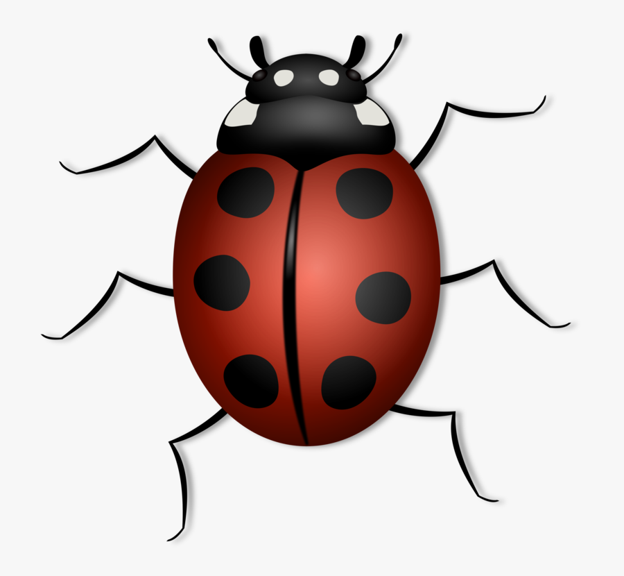 Ladybugs Clipart Red Animal - Animals That Has 6 Legs, Transparent Clipart