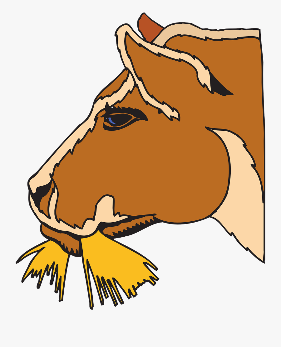 Cow Eating Hay Clipart, Transparent Clipart