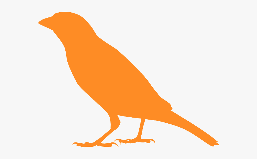 Robin, Transparent Clipart