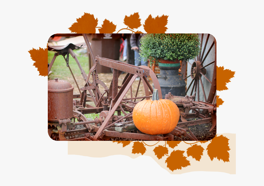 Transparent Hayride Png - Pumpkin, Transparent Clipart