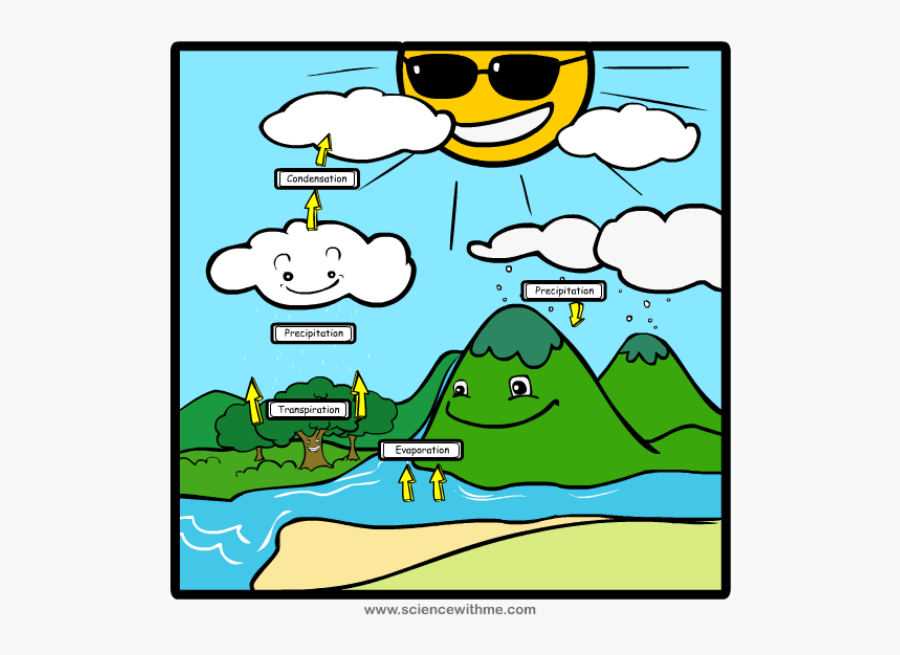 Water Cycle Clipart - 3rd Grade The Water Cycle, Transparent Clipart
