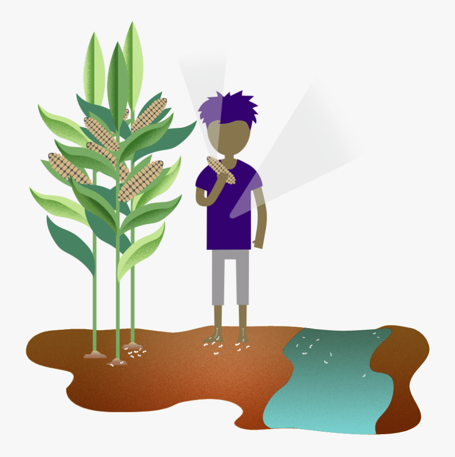 School Of Public Health Bridging The “know-do” Gap - Soil Transmitted Helminths Poster, Transparent Clipart