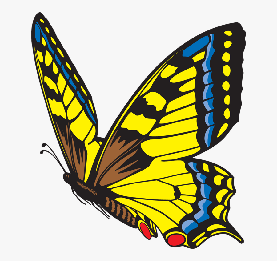 Transparent Life Science Clipart - Life Cycle Of A Butterfly Butterfly, Transparent Clipart