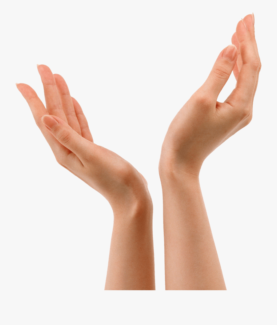 Hands Png, Transparent Clipart