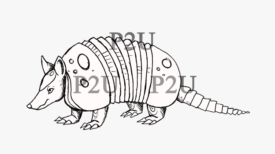 Armadillo Lineart Black And White - Cartoon, Transparent Clipart