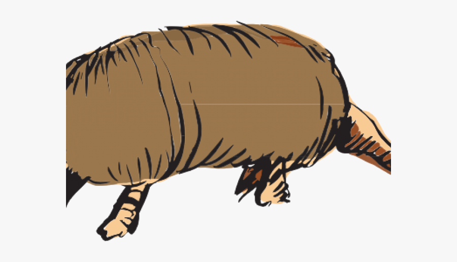 Armadillo Clipart - Animals Clipart, Transparent Clipart