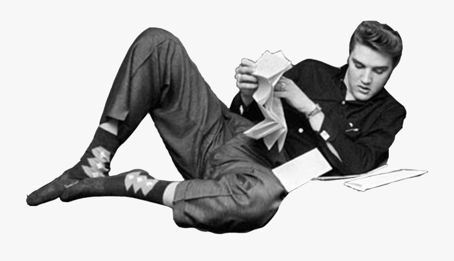 Collections At Sccpre Cat - Person Reading Png, Transparent Clipart