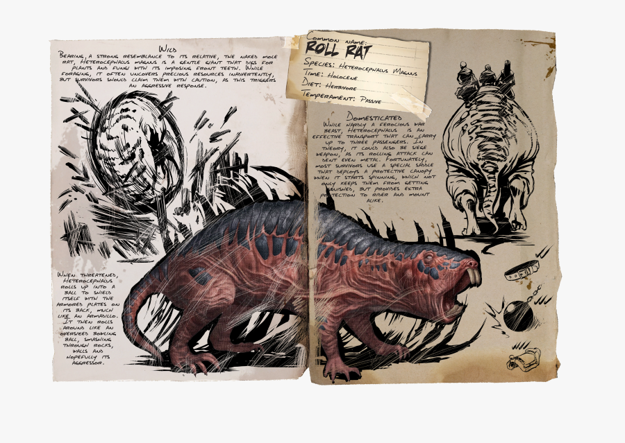 Clip Art Ark Armadillo - Ark Survival Evolved Rat, Transparent Clipart