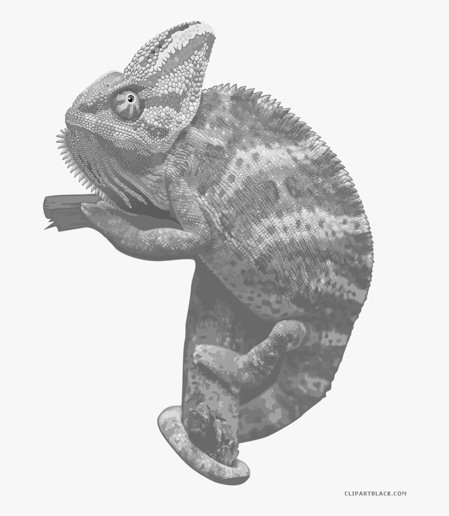 Chameleon Clipart - Chameleons, Transparent Clipart