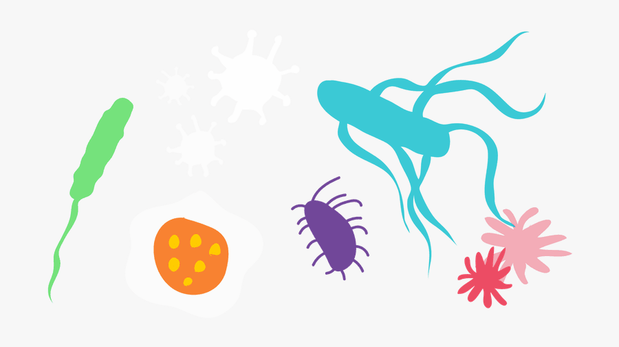 Infectious Diseases Clipart Png, Transparent Clipart