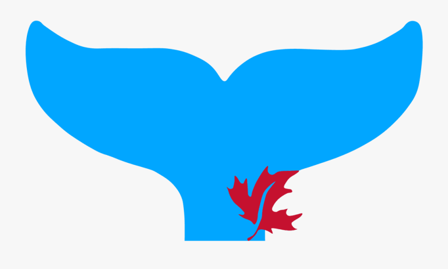 Transparent Humpback Whale Png, Transparent Clipart