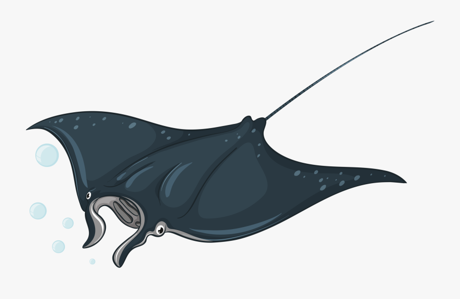 Types Of Sea Animals - Stingray Illustrations, Transparent Clipart