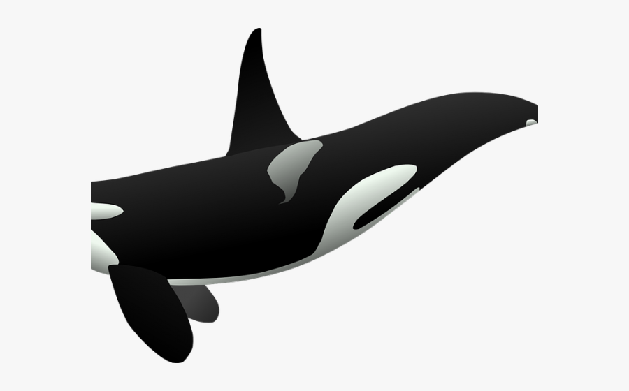 Ocean Animal Clipart - Orca Clipart, Transparent Clipart