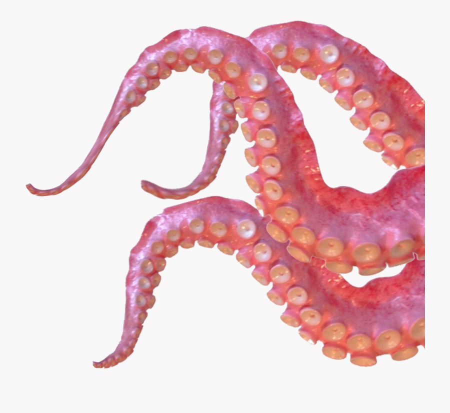 #tentacles #octopus #animals #ocean #sea #freetoedit - Octopus Tentacles Transparent Background, Transparent Clipart