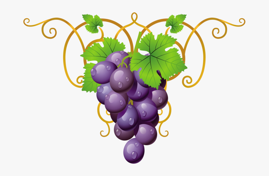 Transparent Clipart Grape Vine Png , Png Download - Promise Tamil Bible Verses, Transparent Clipart