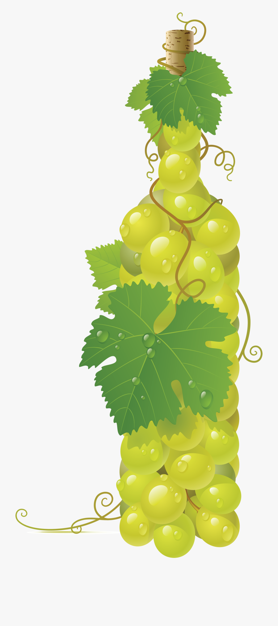 Grape Png Image Free - Grapes Vector, Transparent Clipart