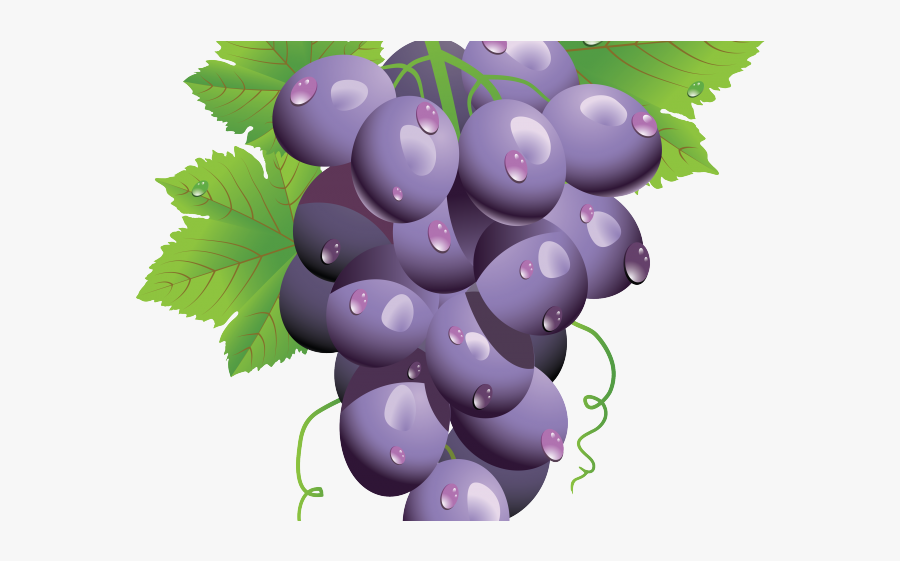 Grapes Clipart Png, Transparent Clipart